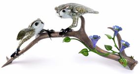 Frogman - Tim Cotterill Frogman - Tim Cotterill Shangri-La (Signature Collection)